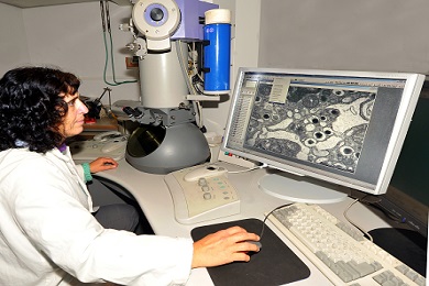 Genomic Technologies Facility