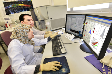 Scientific Instruments Facility