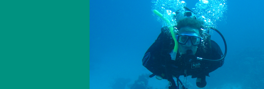 Studying the Ecosystem of the Red Sea