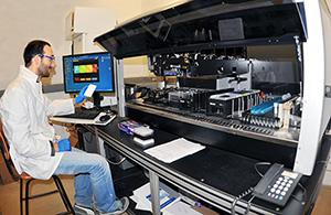 Working in Prof. Belkin's lab