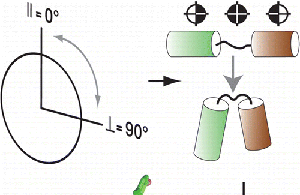 Use of FTIR spectroscopy to determine the structure of membrane proteins