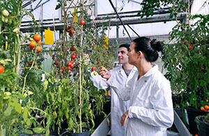 Research greenhouse