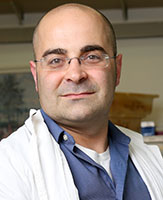 Dr. Yonatan Tzur