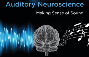 Auditory Neuroscience