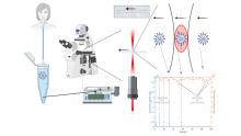  The flow virometer for rapid detection of Corona virus