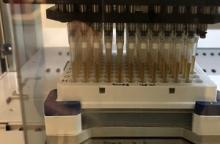 High throughput assay